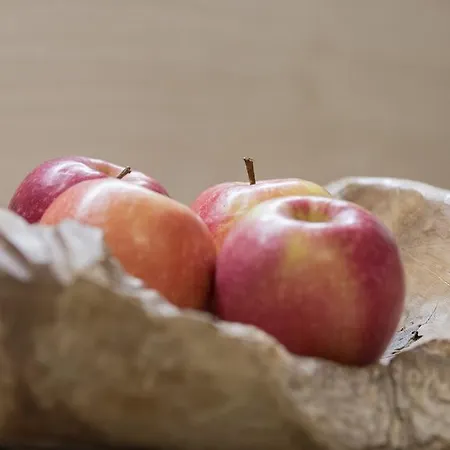 Appartement Trujen Längenfeld Zewnętrze zdjęcie